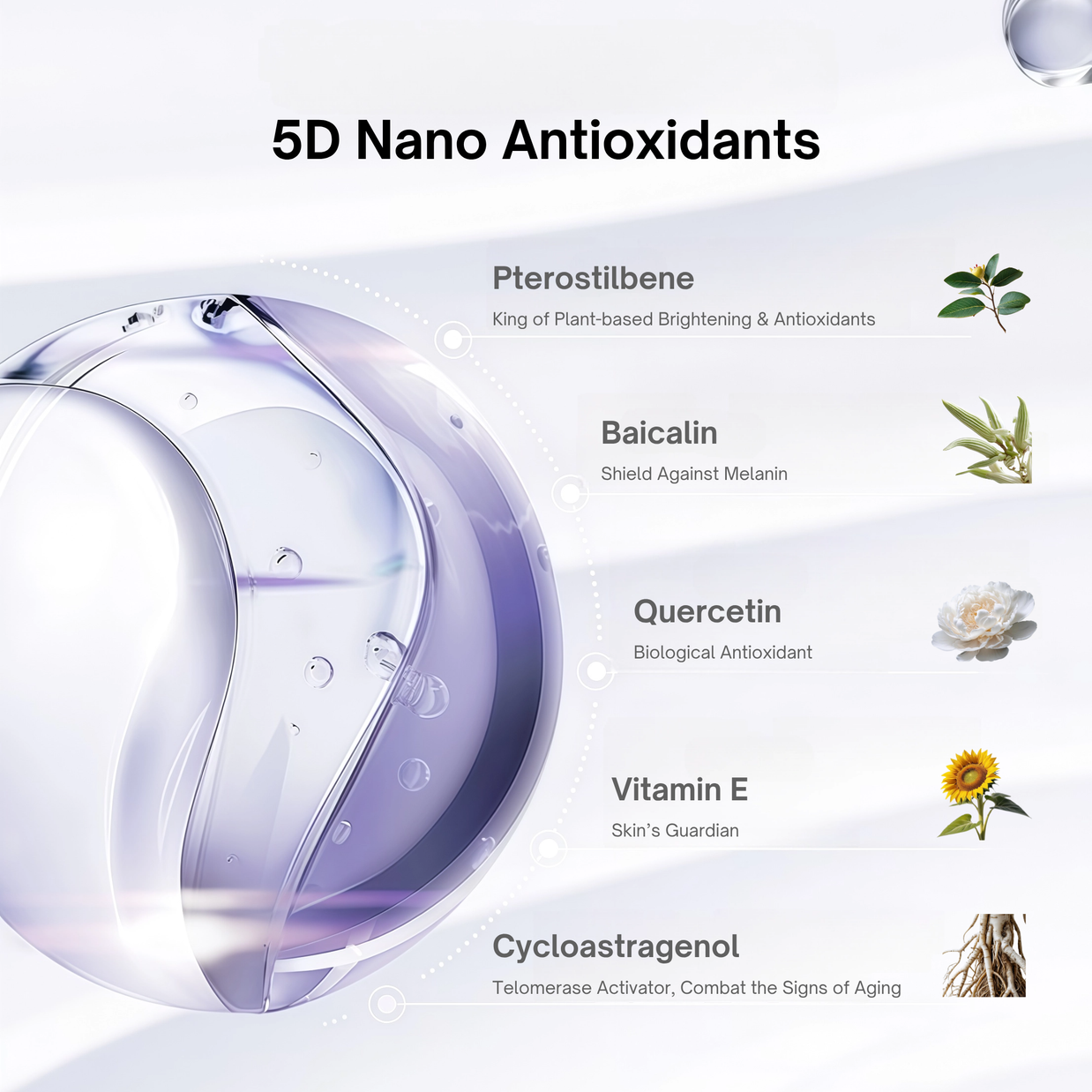 5D Nano Antioxidants with natural elements and ingredient's efficacy of Sounder One Night Reboot Energy Serum